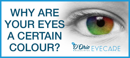 Why Your Eyes Are A Certain Colour